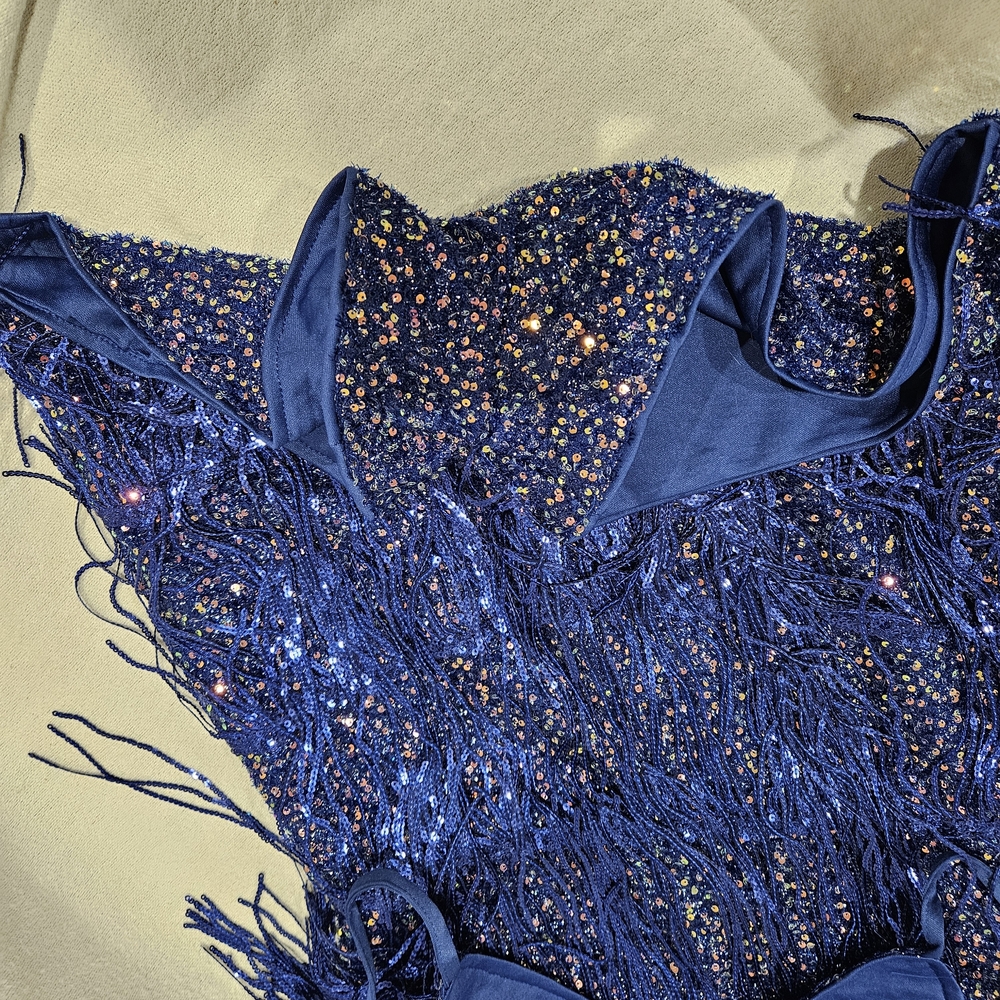 Blue Sequin Fringe Dress - Picture 8 of 8